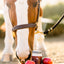 APPLES FOR HORSES