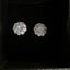 Ornaments Collection - Earrings