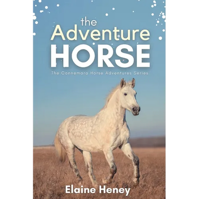 The Adventure Horse - Book 5 in the Connemara Horse Adventure Series for Kids