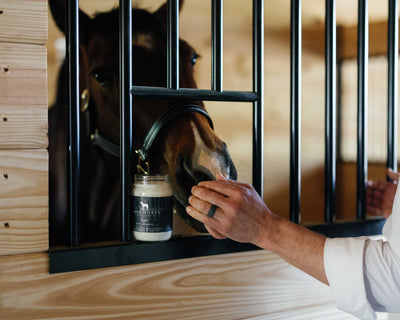 HORSE HUSBAND - SCENT OF THE MONTH