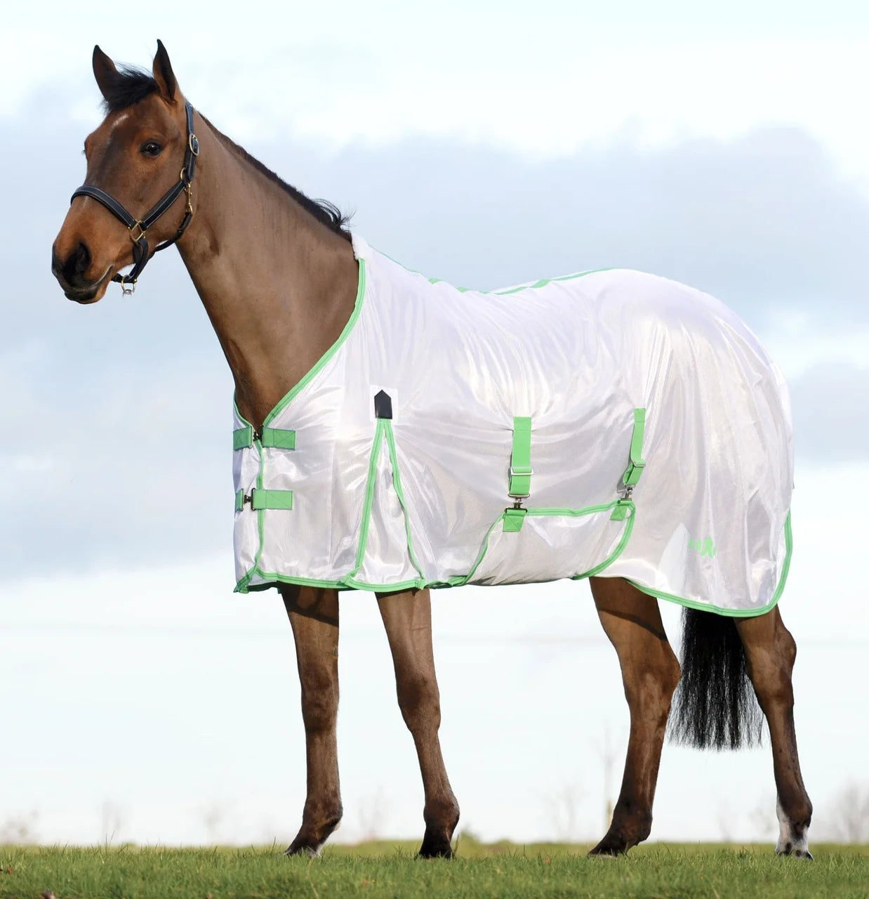 Saxon Mesh Combo Neck Fly Sheet