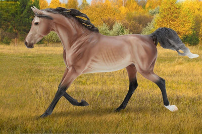 Breyer Rosanna
