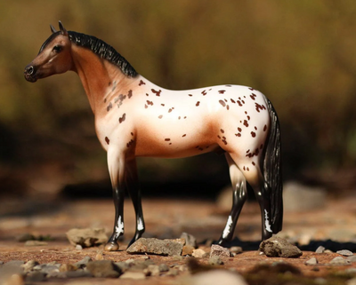 Breyer The Ideal Series | Pony of the Americas 1883 (Retired)