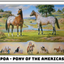 Breyer The Ideal Series | Pony of the Americas 1883 (Retired)