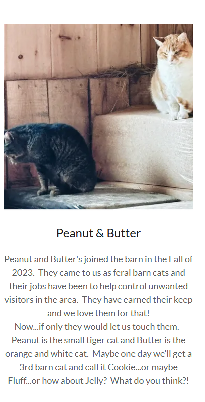 Peanut and Butter by Angelina Natale (Book)