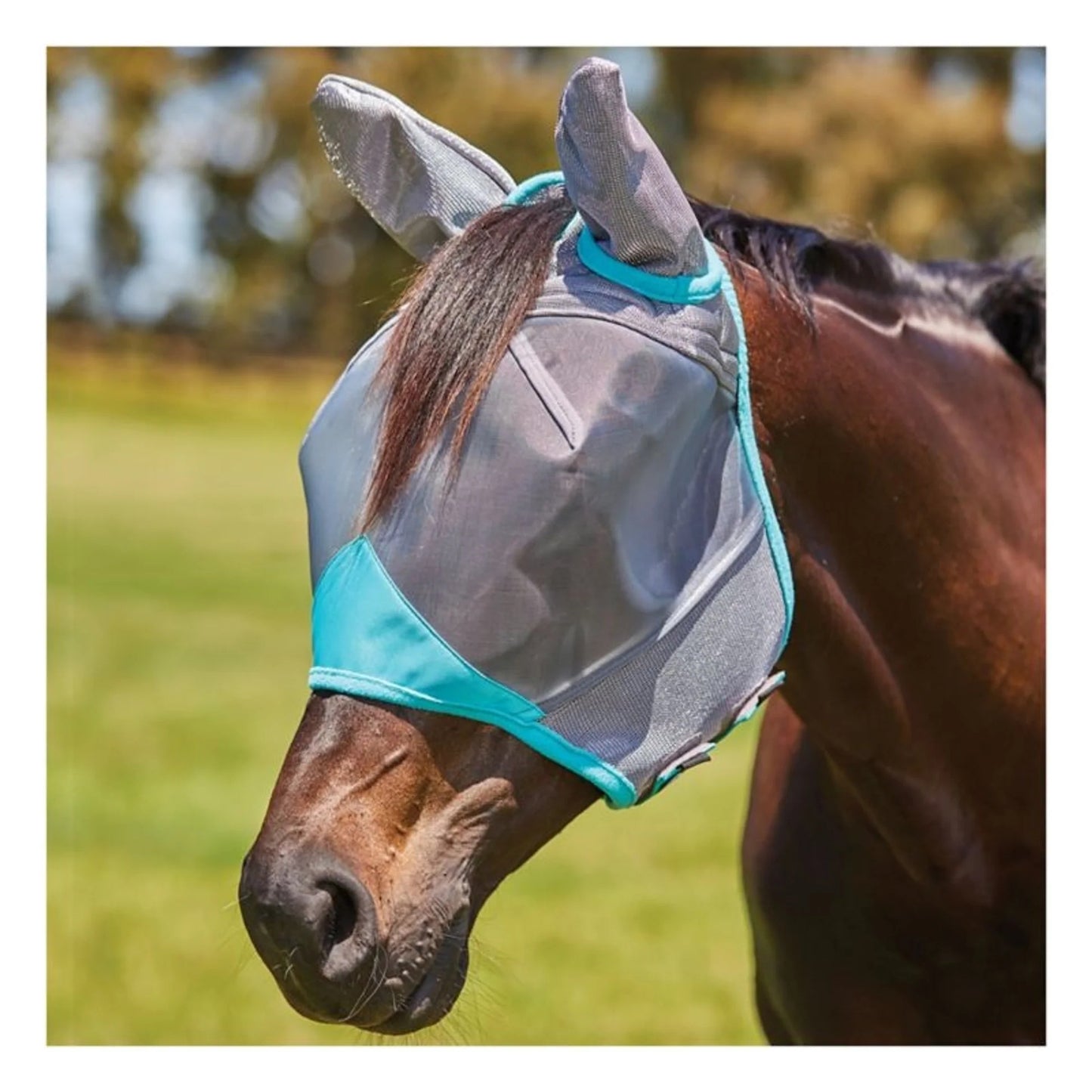 Weatherbeeta Fly Masks