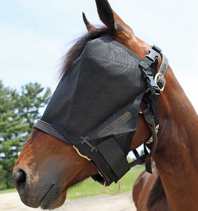 Equivizor Fly Mask