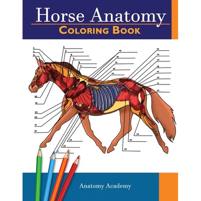 Horse Anatomy Coloring Book: Incredibly Detailed Self-Test Equine Anatomy Color workbook Perfect Gift for Veterinary Students, Horse Lovers & Adults