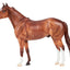 Apollitical Jess | American Quarter Horse Sprinter 10718 - 2026