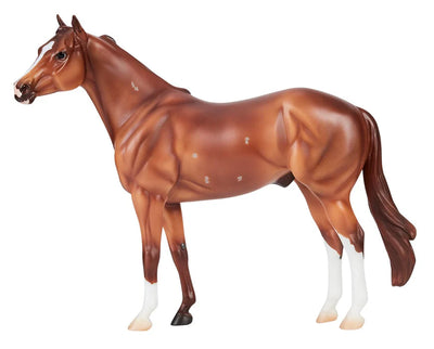 Apollitical Jess | American Quarter Horse Sprinter 10718 - 2026