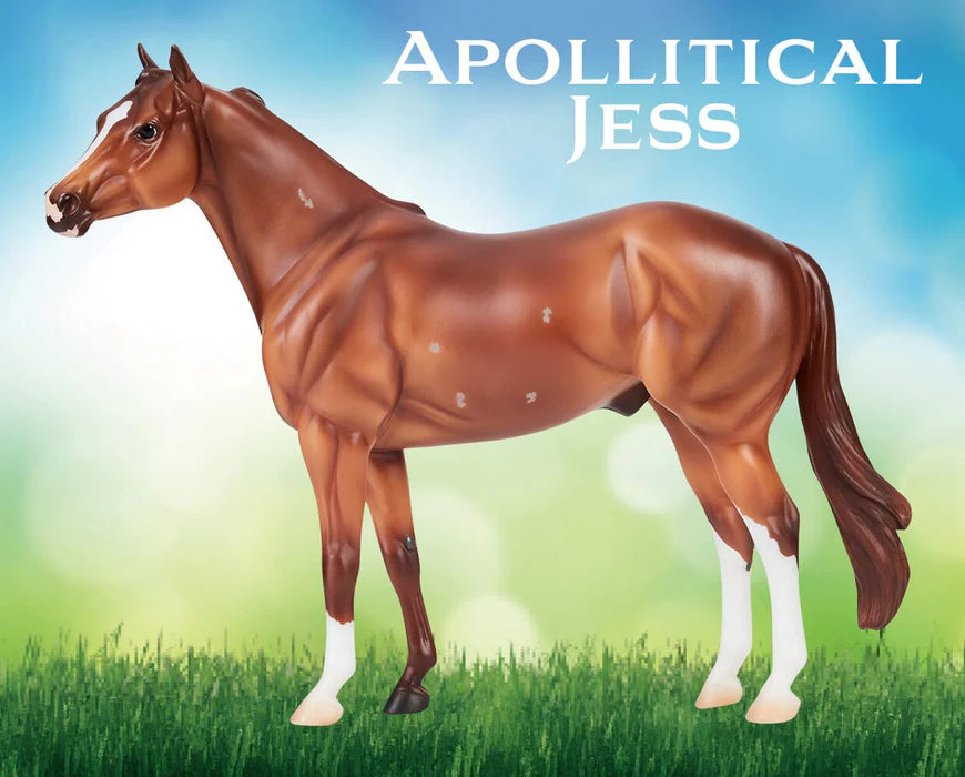 Apollitical Jess | American Quarter Horse Sprinter 10718 - 2026