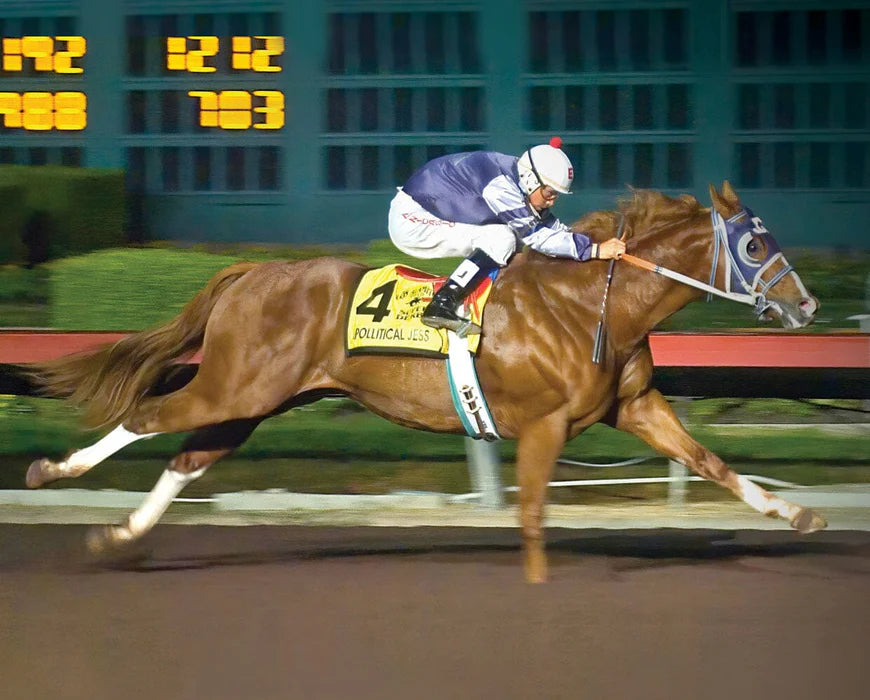 Apollitical Jess | American Quarter Horse Sprinter 10718 - 2026