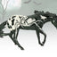 Arachne | 2025 Halloween Horse 10344