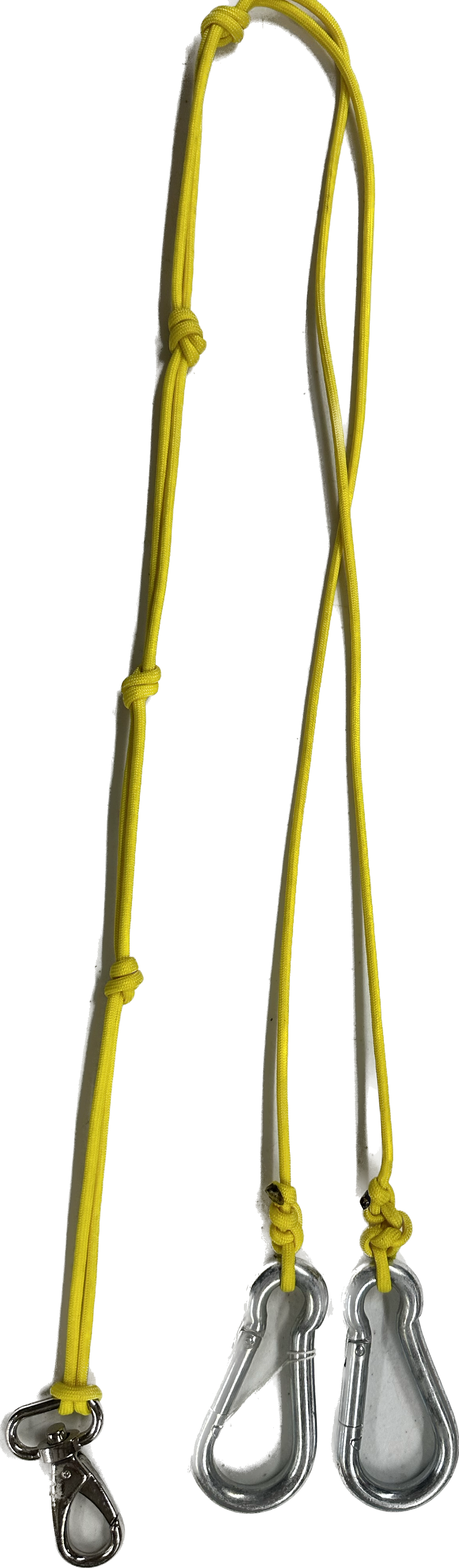 Weighted Nylon Martingale