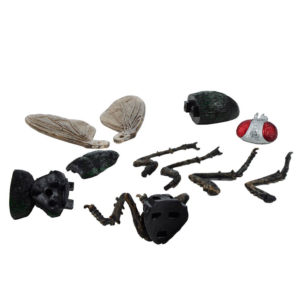 Gross Insects 3D Puzzle Set Assorted 4 Styles
