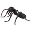 Gross Insects 3D Puzzle Set Assorted 4 Styles