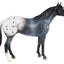 Blue Roan Appaloosa 10608