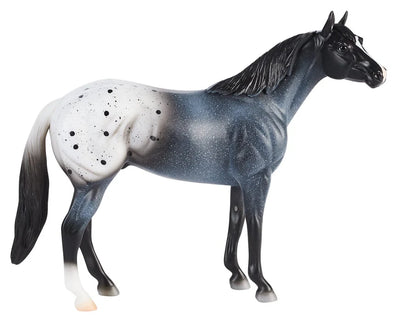 Blue Roan Appaloosa 10608