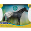 Blue Roan Appaloosa 10608
