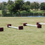 Burlingham Sports - Cavaletti Package