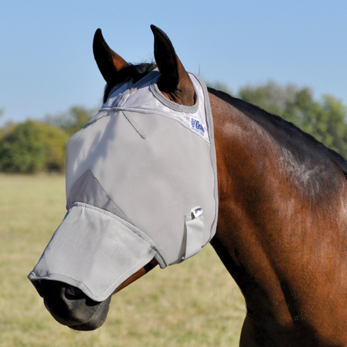 Crusader Fly Mask, Long Nose (Gray)