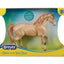 Champagne Quarter Horse Cross 10611