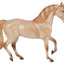 Champagne Quarter Horse Cross 10611