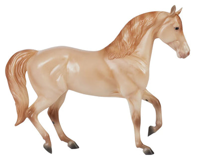 Champagne Quarter Horse Cross 10611
