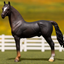 Breyer by CollectA
