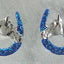 The Finishing Touch - Glitter Horseshoe Earrings