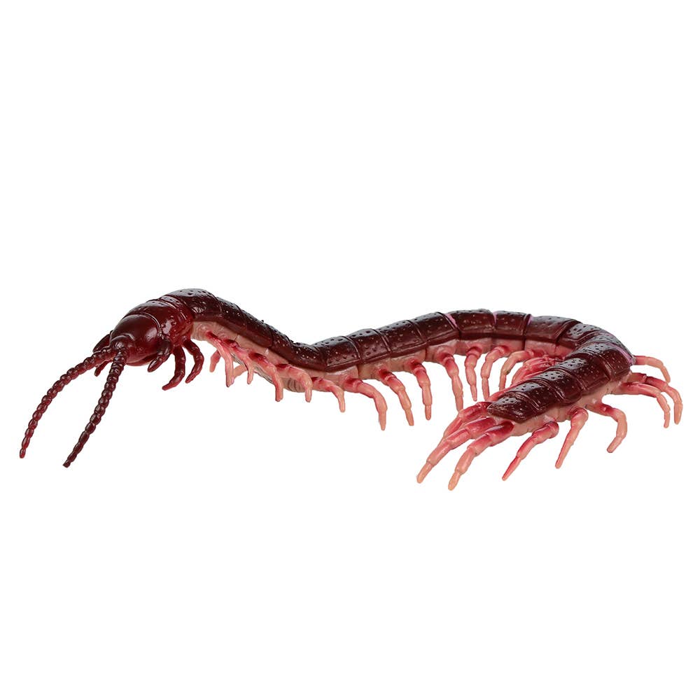 Gross Insects 3D Puzzle Set Assorted 4 Styles