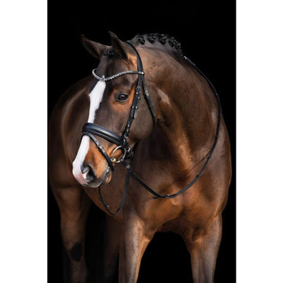 HKM-Bridle (COB) with Crystals