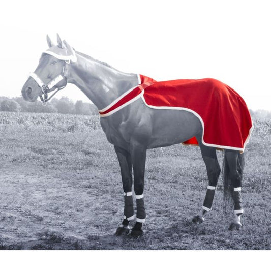 TOUGH1 SANTA QUARTER SHEET