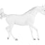 Grey Arabian 10612
