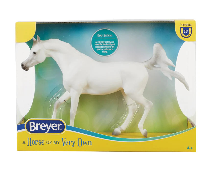 Grey Arabian 10612