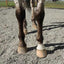 Lighthoof Equine Mud Management Panel