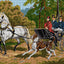 Horse-drawn Carriage Ride 1961M Needlepoint canvas for halfstitch without yarn