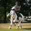 Hytyme Legend | KHP Mounted Police Horse 1884