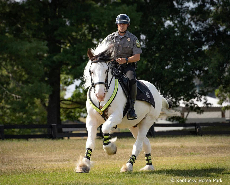Hytyme Legend | KHP Mounted Police Horse 1884