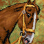 Needlepoint canvas for halfstitch without yarn Chestnut Horse 2197F - Printed Tapestry Canvas