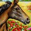 Needlepoint canvas for halfstitch without yarn Horse on a Meadow 2431F - Printed Tapestry Canvas