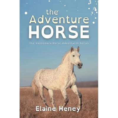 The Adventure Horse - Dyslexia Friendly