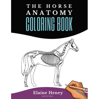 Horse Anatomy Coloring Book For Adults - Self Assessment Equine Coloring Workbook: Test Your Knowledge - For Equestrians & Veterinary Students