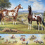 The Ideal Series | Pinto 10669 - 2026