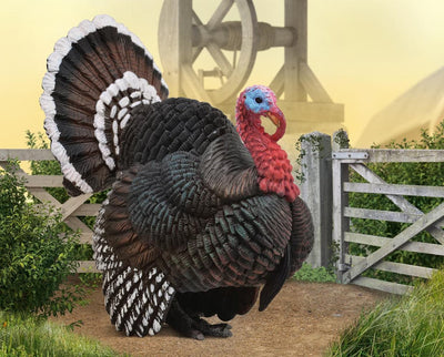 Breyer CollectA Turkey 88762