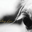 Horse Sympathy Card: Thinking of you