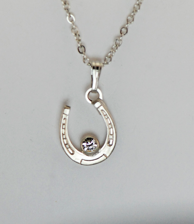 The Finishing Touch - Tilted Horseshoe Necklace with Gem