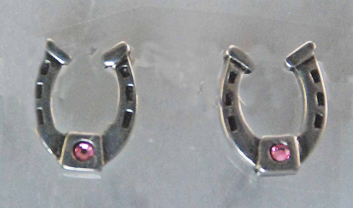 HORSESHOE BIRTHSTONE EARRINGS HER4279