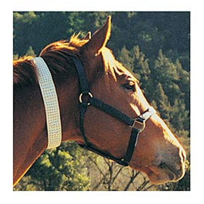 BY: R & R GROUP Fly Collar For Horses