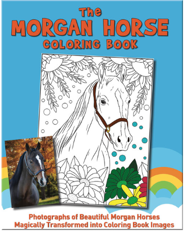 THE MORGAN HORSE COLORING BOOK